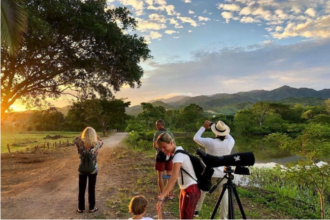 Bird Watching in Sayulita!